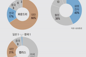 빈약한 국내 팹리스도 삼성엔 불리… 세계점유율 한국 1%, 대만 21%