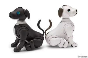 소니, 로봇 강아지 아이보(aibo) 에스프레소 에디션 출시